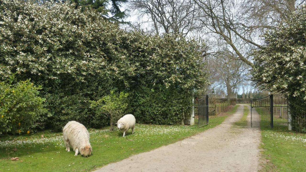 Homestead B&B Cambridge Buitenkant foto